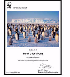 Birthday Project for Moons (2019)